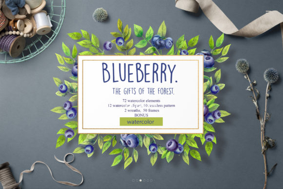 Blueberry the Gifts of the Forest: A Creative Resource for Designers and Makers