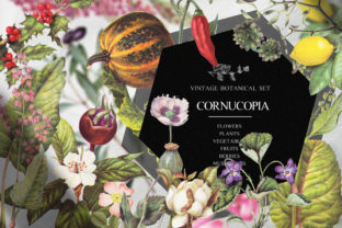 Cornucopia Vintage Botanical Set: A Practical Resource for Creative and Commercial Design Projects
