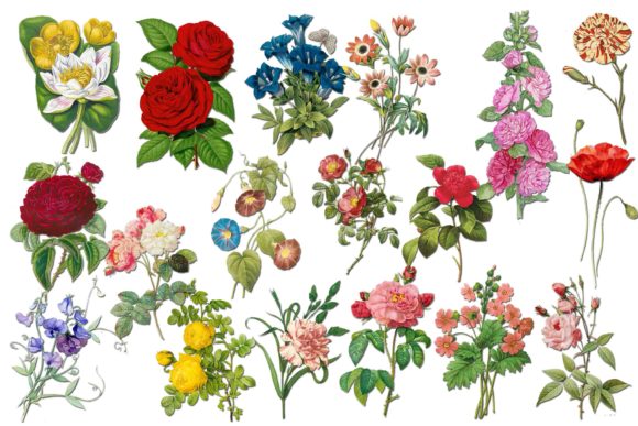 Flowers Clip Art: 18 High-Res PNGs for Creative Projects